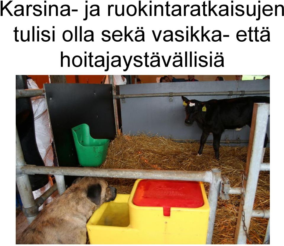 tulisi olla sekä