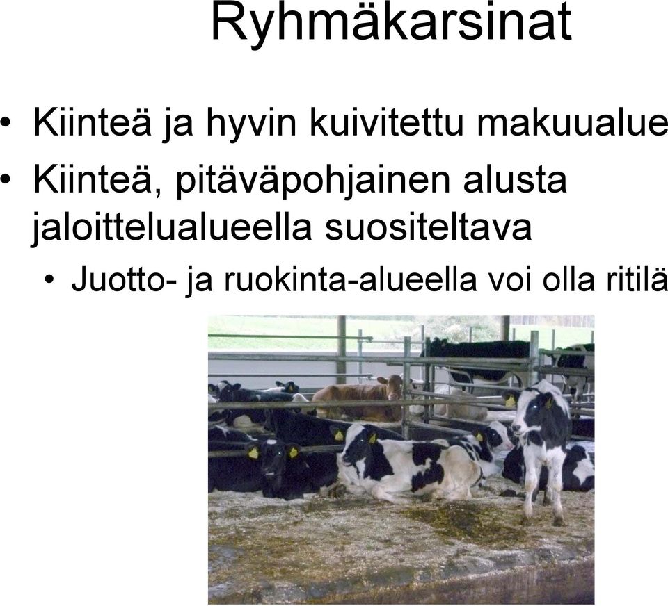 pitäväpohjainen alusta