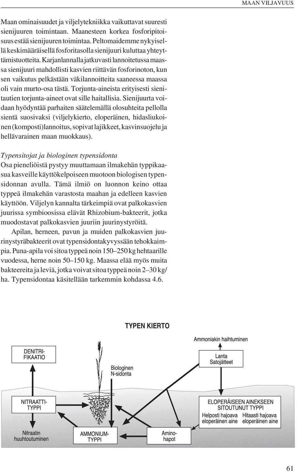 Karjanlannalla jatkuvasti lannoitetussa maassa sienijuuri mahdollisti kasvien riittävän fosforinoton, kun sen vaikutus pelkästään väkilannoitteita saaneessa maassa oli vain murto-osa tästä.