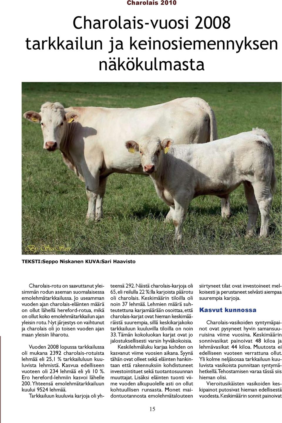 Nyt järjestys on vaihtunut ja charolais oli jo toisen vuoden ajan maan yleisin liharotu.