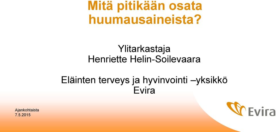 Ylitarkastaja Henriette