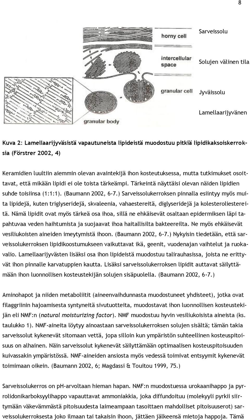 (Baumann 2002, 6-7.) Sarveissolukerroksen pinnalla esiintyy myös muita lipidejä, kuten triglyseridejä, skvaleenia, vahaestereitä, diglyseridejä ja kolesteroliestereitä.