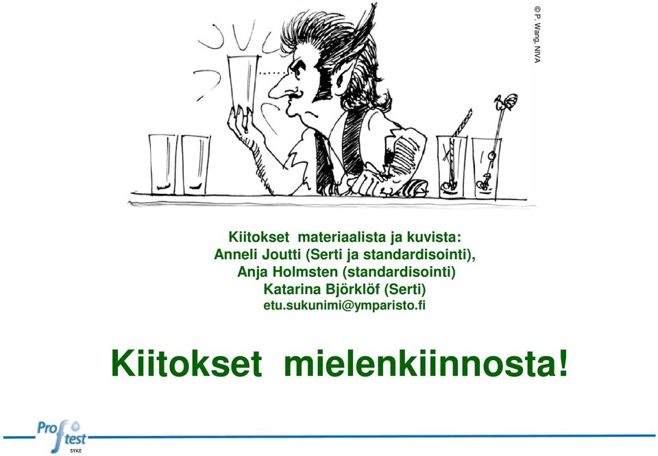 Holmsten (standardisointi) Katarina Björklöf
