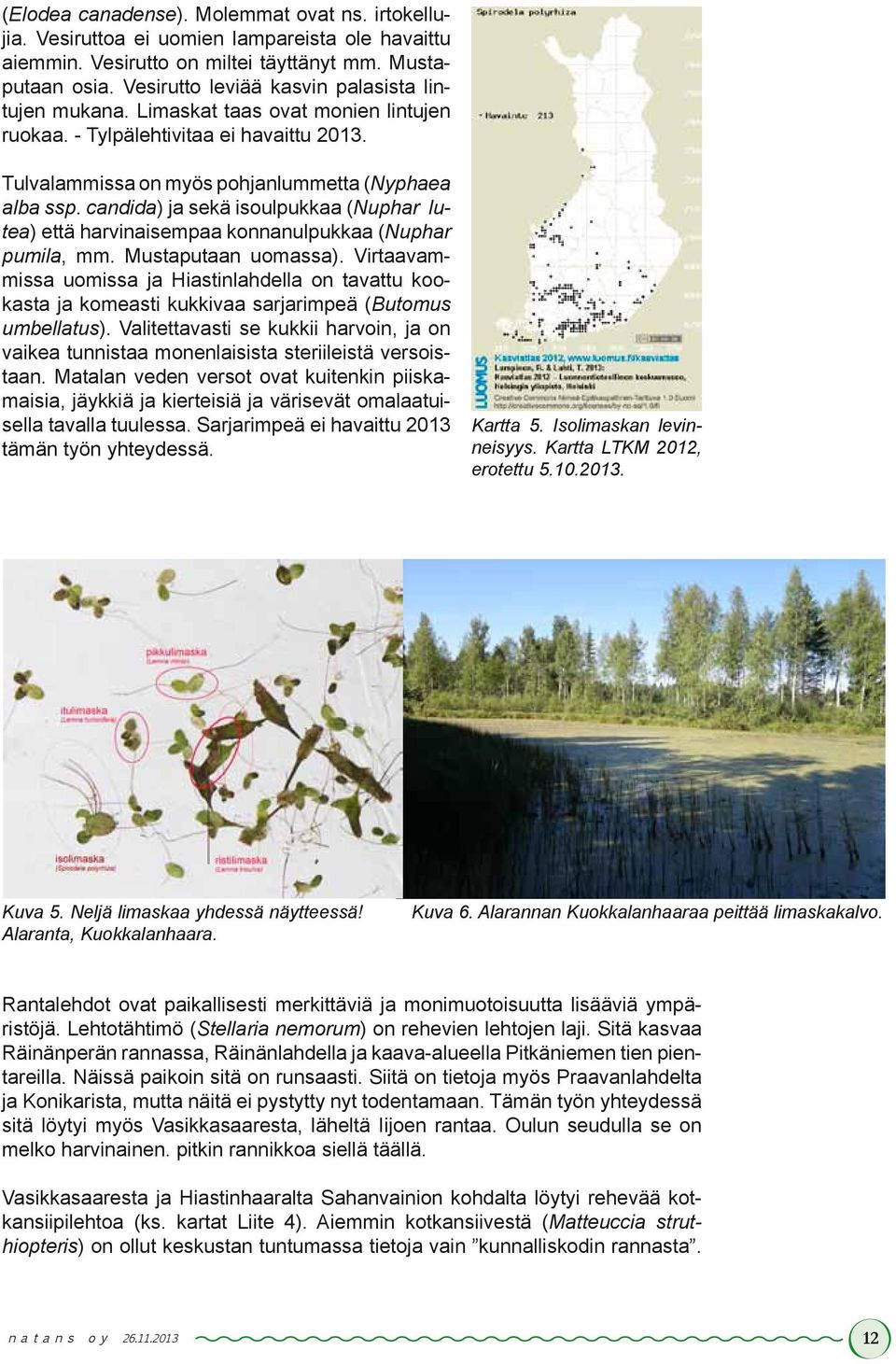 candida) ja sekä isoulpukkaa (Nuphar lutea) että harvinaisempaa konnanulpukkaa (Nuphar pumila, mm. Mustaputaan uomassa).