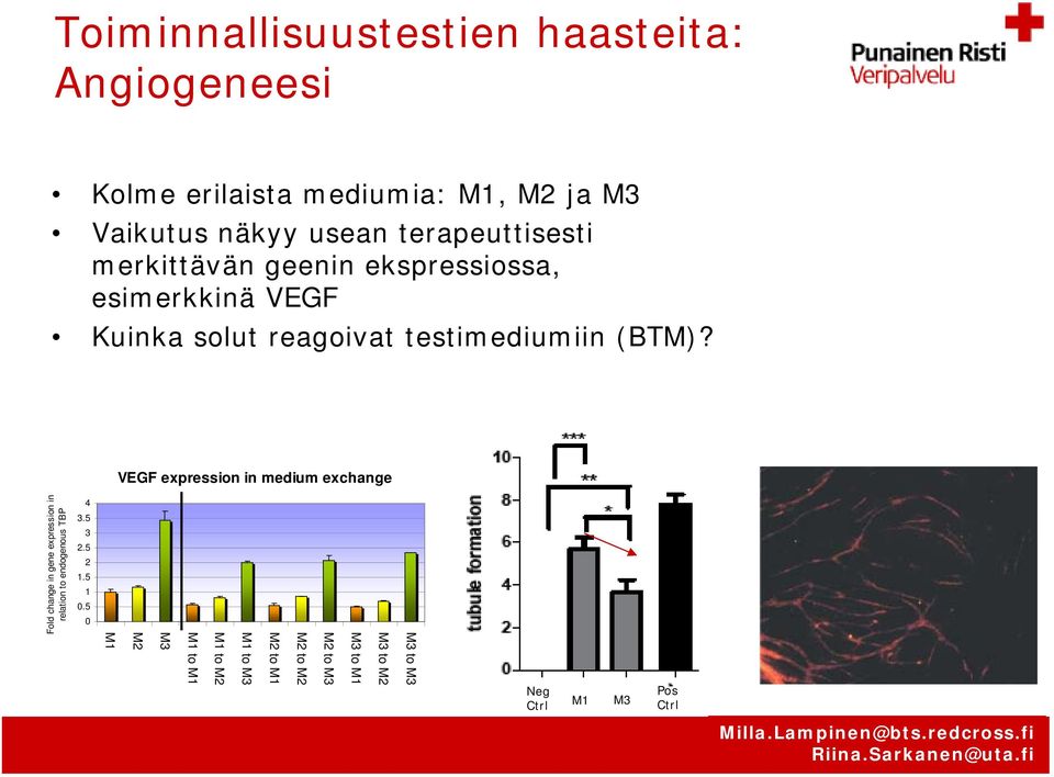 Fold change in gene expression in relation to endogenous TBP 4 3.5 3 2.5 2 1.5 1 0.