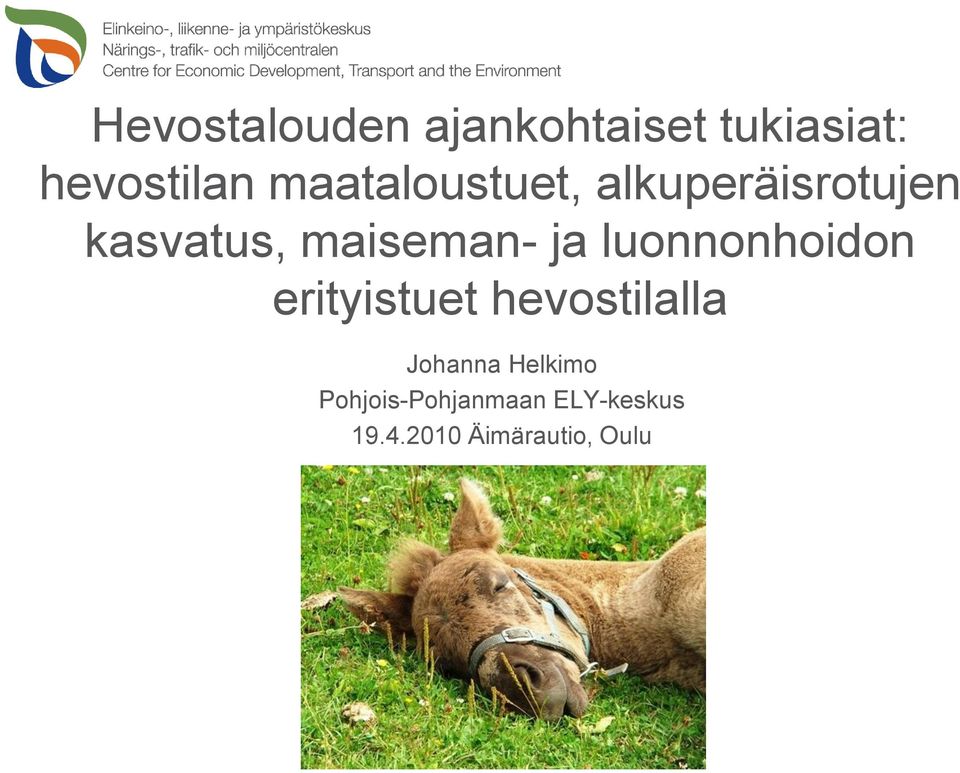 ja luonnonhoidon erityistuet hevostilalla Johanna