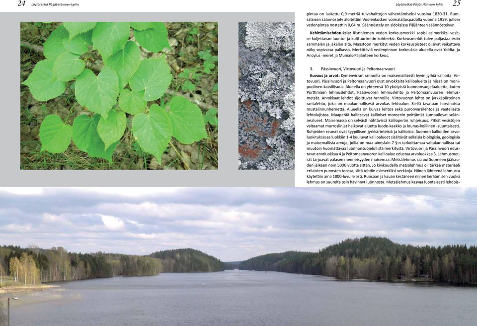 Kehittämisehdotuksia: Ristiniemen veden korkeusmerkki sopisi esimerkiksi vesitse kuljettavan luonto- ja kulttuurireitin kohteeksi. Korkeusmerkit tulee paljastaa esiin sammalen ja jäkälän alta.
