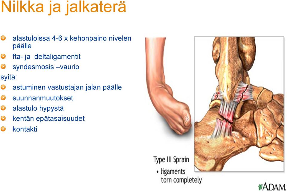 fta- ja deltaligamentit! syndesmosis vaurio syitä:!