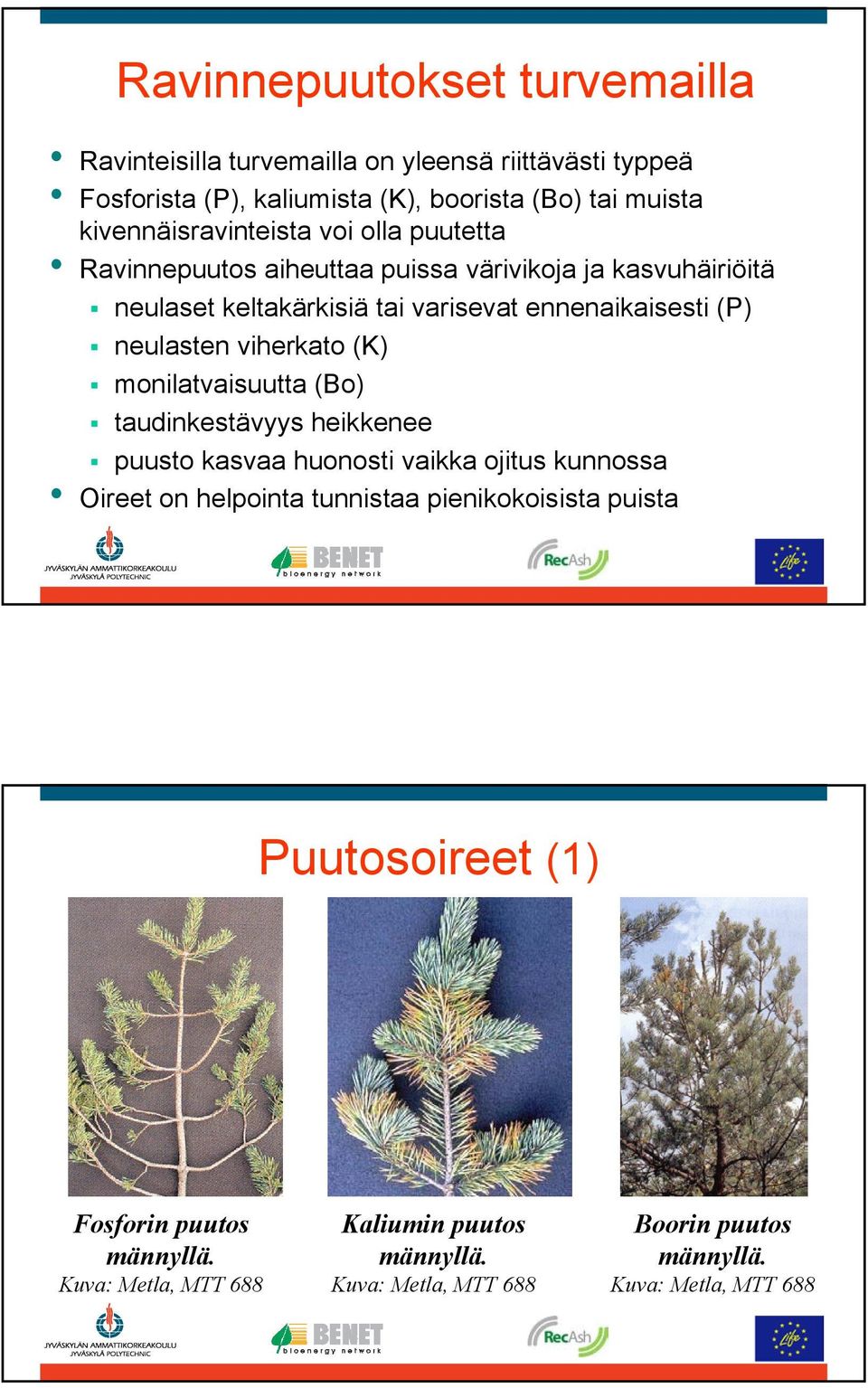 neulasten viherkato (K) monilatvaisuutta (Bo) taudinkestävyys heikkenee puusto kasvaa huonosti vaikka ojitus kunnossa Oireet on helpointa tunnistaa