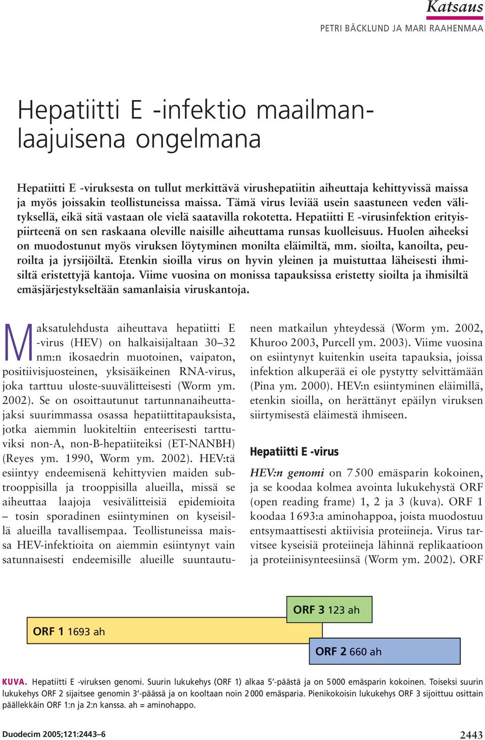 Hepatiitti E -virusinfektion erityispiirteenä on sen raskaana oleville naisille aiheuttama runsas kuolleisuus. Huolen aiheeksi on muodostunut myös viruksen löytyminen monilta eläimiltä, mm.