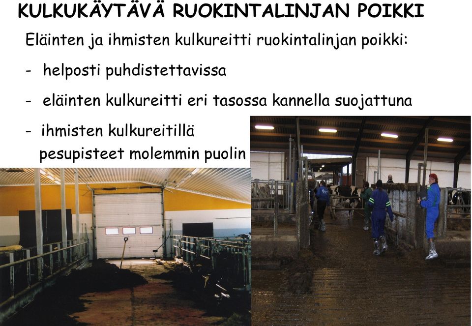 puhdistettavissa - eläinten kulkureitti eri tasossa