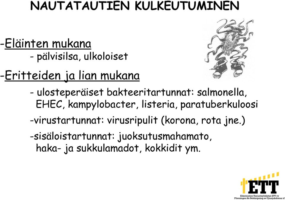 EHEC, kampylobacter, listeria, paratuberkuloosi -virustartunnat: virusripulit