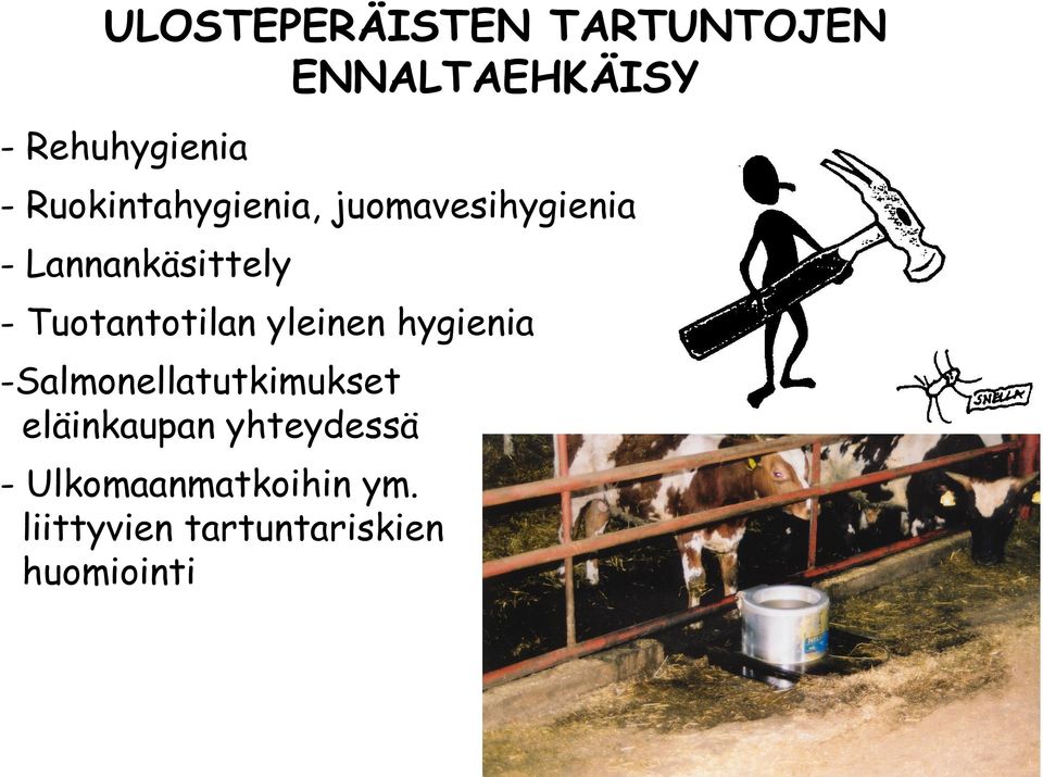 Tuotantotilan yleinen hygienia -Salmonellatutkimukset
