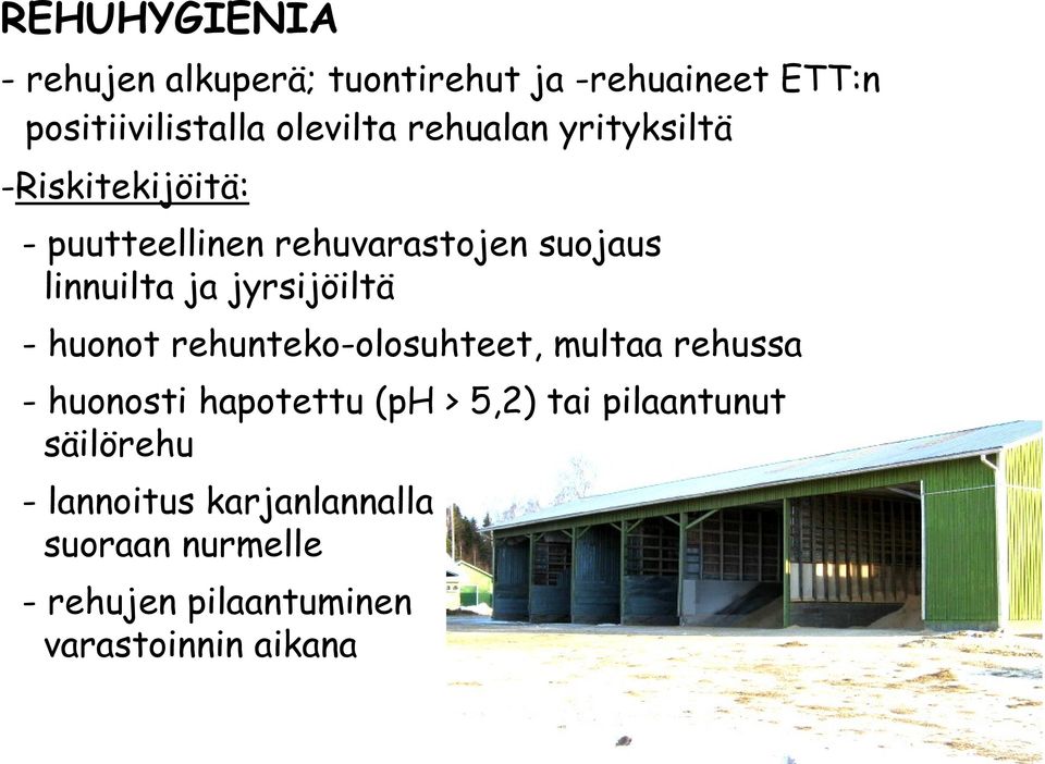 jyrsijöiltä - huonot rehunteko-olosuhteet, multaa rehussa - huonosti hapotettu (ph > 5,2) tai