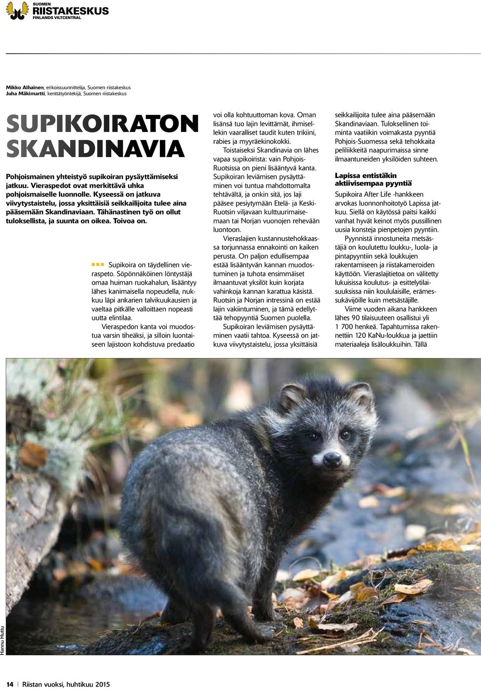 Tähänastinen työ on ollut tuloksellista, ja suunta on oikea. Toivoa on. n n n Supikoira on täydellinen vieraspeto.