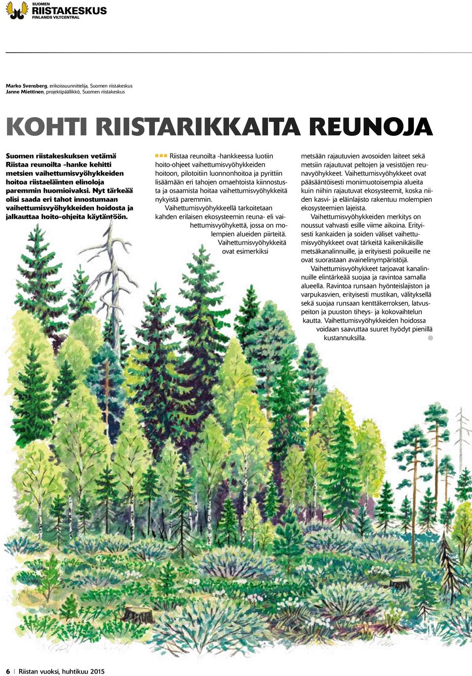 Nyt tärkeää olisi saada eri tahot innostumaan vaihettumisvyöhykkeiden hoidosta ja jalkauttaa hoito-ohjeita käytäntöön.