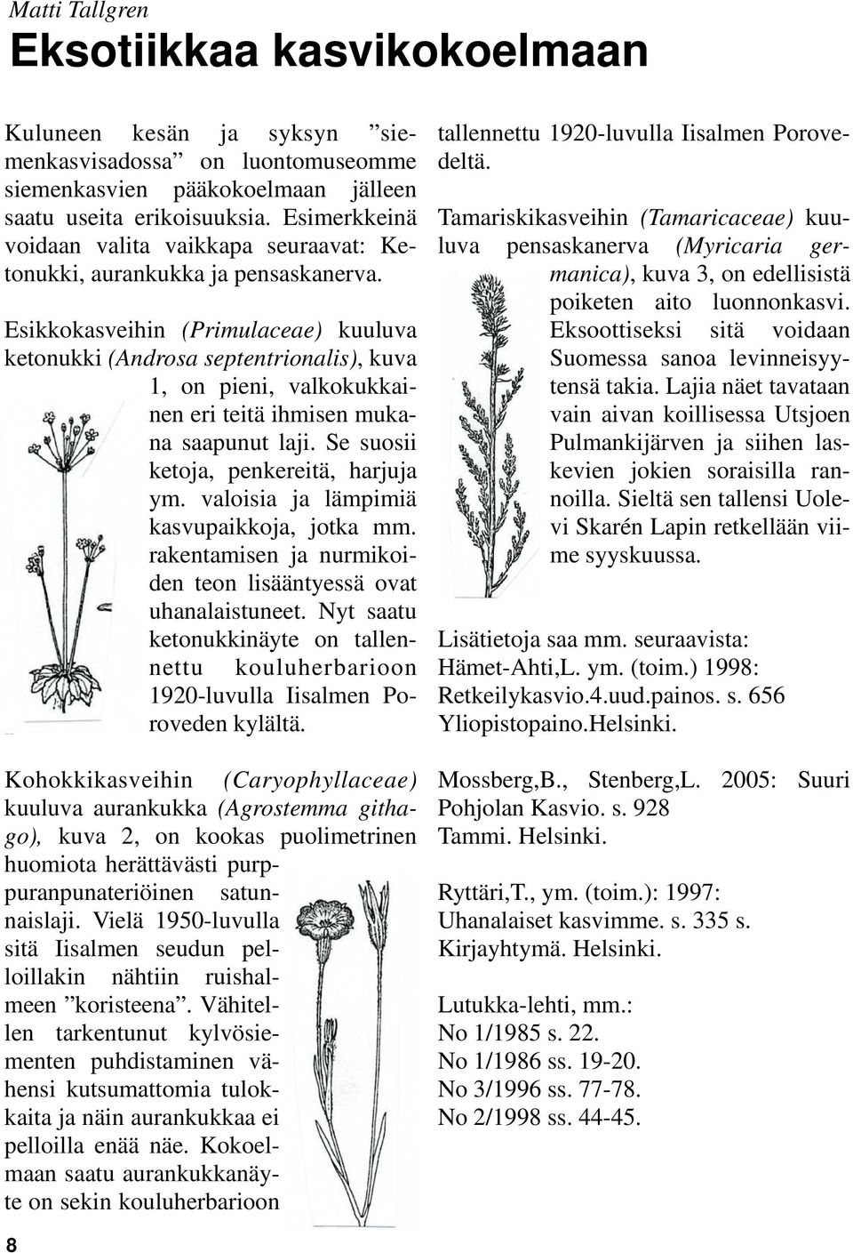 Esikkokasveihin (Primulaceae) kuuluva ketonukki (Androsa septentrionalis), kuva 1, on pieni, valkokukkainen eri teitä ihmisen mukana saapunut laji. Se suosii ketoja, penkereitä, harjuja ym.