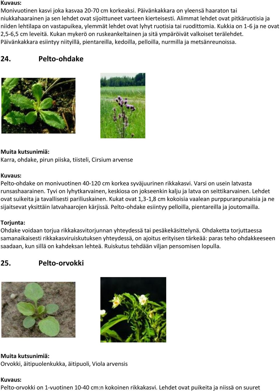 Kukan mykerö on ruskeankeltainen ja sitä ympäröivät valkoiset terälehdet. Päivänkakkara esiintyy niityillä, pientareilla, kedoilla, pelloilla, nurmilla ja metsänreunoissa. 24.