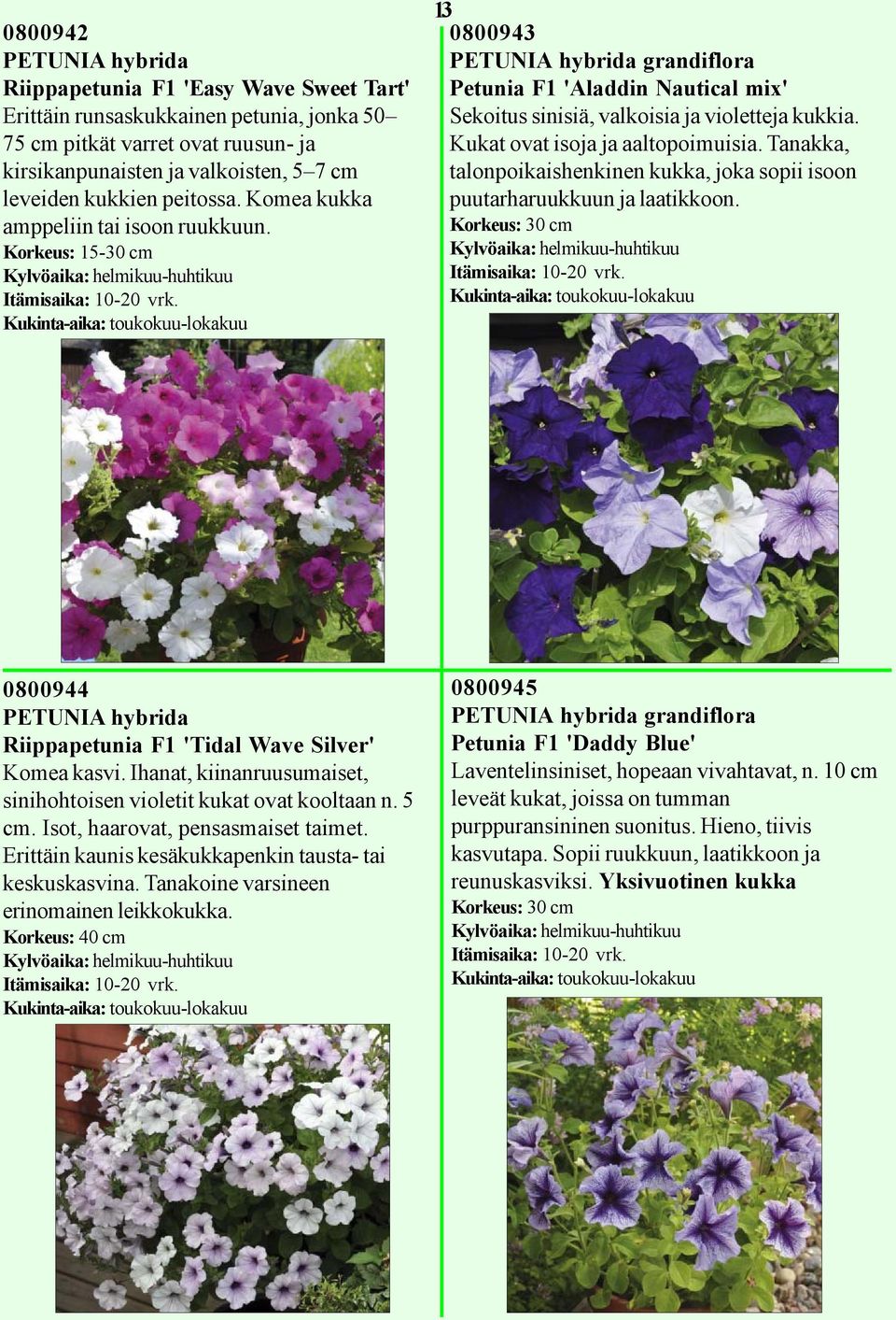 Korkeus: 15-30 cm Kukinta-aika: toukokuu-lokakuu 13 0800943 PETUNIA hybrida grandiflora Petunia F1 'Aladdin Nautical mix' Sekoitus sinisiä, valkoisia ja violetteja kukkia.