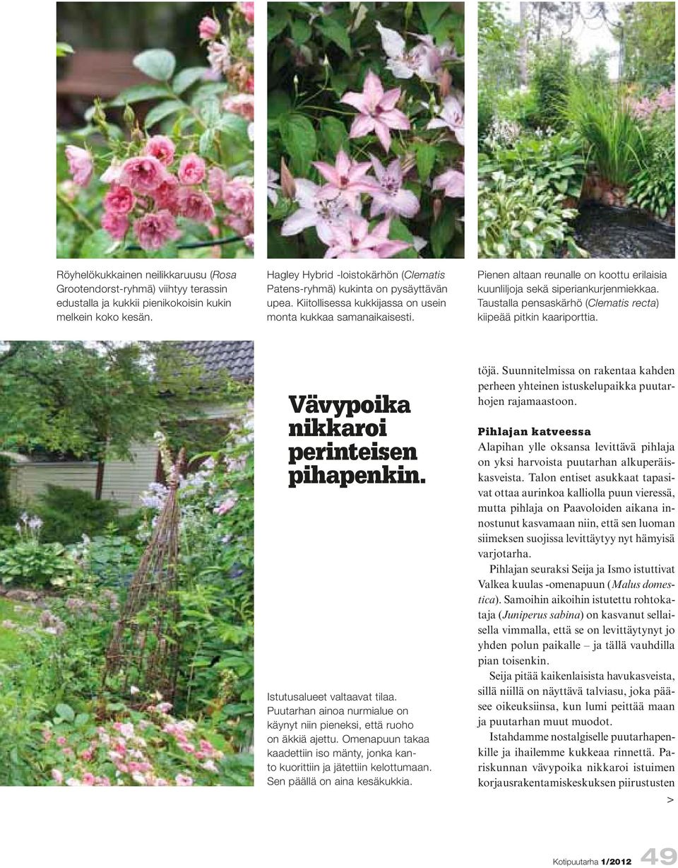 Pienen altaan reunalle on koottu erilaisia kuunliljoja sekä siperiankurjenmiekkaa. Taustalla pensaskärhö (Clematis recta) kiipeää pitkin kaariporttia. Vävypoika nikkaroi perinteisen pihapenkin.