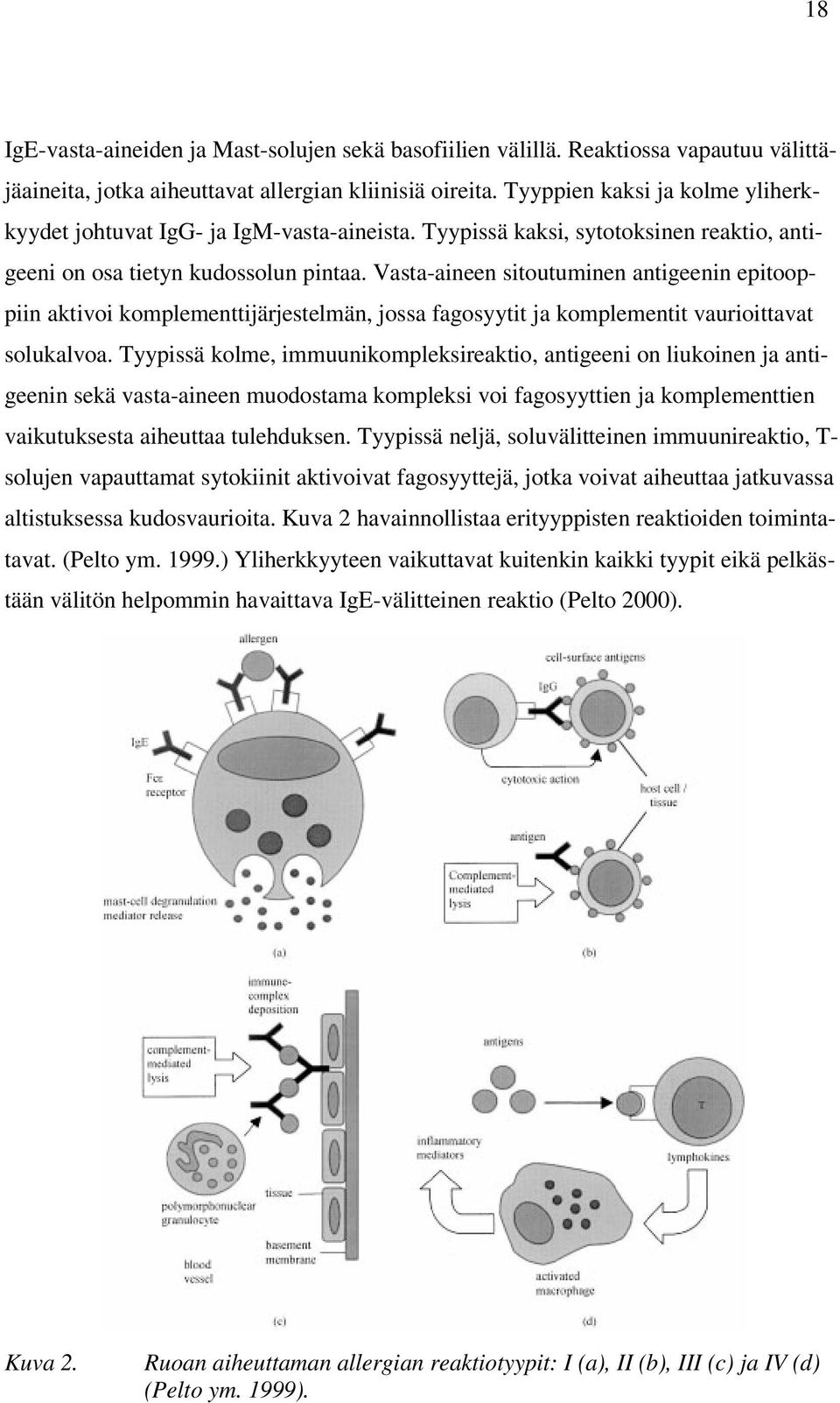 Vasta-aineen sitoutuminen antigeenin epitooppiin aktivoi komplementtijärjestelmän, jossa fagosyytit ja komplementit vaurioittavat solukalvoa.