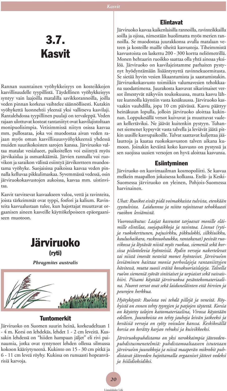 Rantalehdossa tyypillinen puulaji on tervaleppä. Veden rajaan ulottuvat kosteat rantaniityt ovat kasvilajistoltaan monipuolisimpia. Vetisimmissä niityn osissa kasvaa mm.