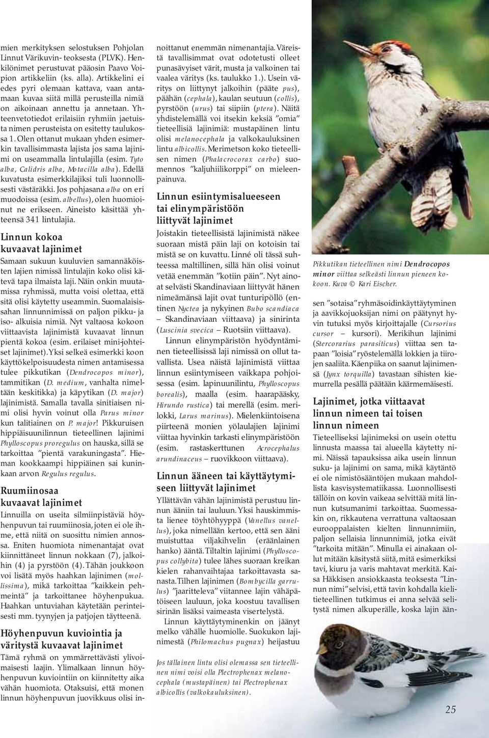 Yhteenvetotiedot erilaisiin ryhmiin jaetuista nimen perusteista on esitetty taulukossa 1.