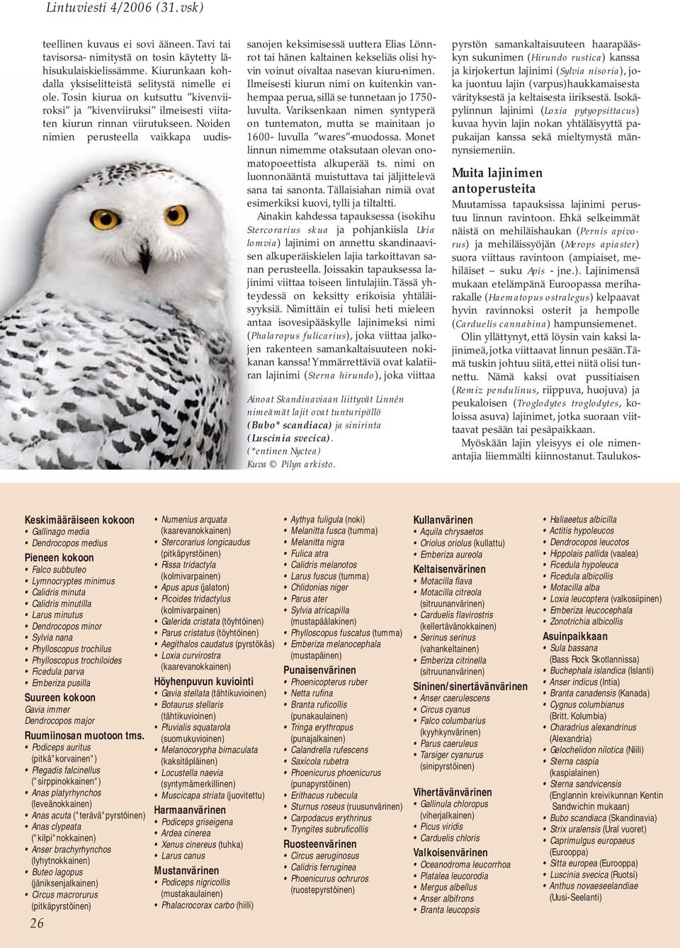 Noiden nimien perusteella vaikkapa uudissanojen keksimisessä uuttera Elias Lönnrot tai hänen kaltainen kekseliäs olisi hyvin voinut oivaltaa nasevan kiuru-nimen.