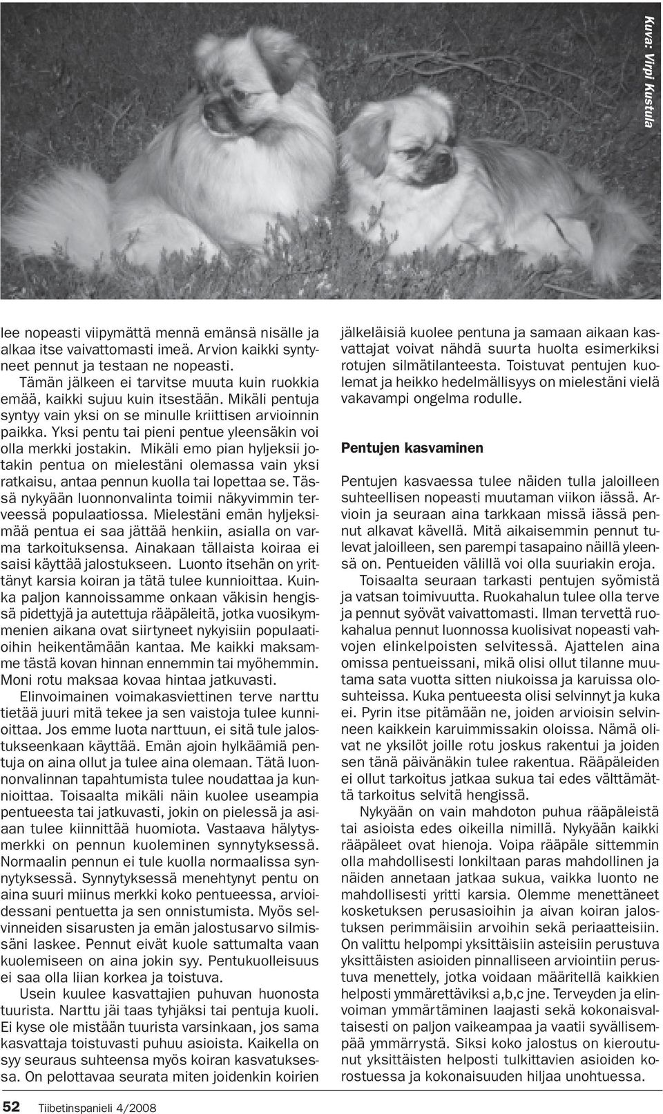 Yksi pentu tai pieni pentue yleensäkin voi olla merkki jostakin. Mikäli emo pian hyljeksii jotakin pentua on mielestäni olemassa vain yksi ratkaisu, antaa pennun kuolla tai lopettaa se.