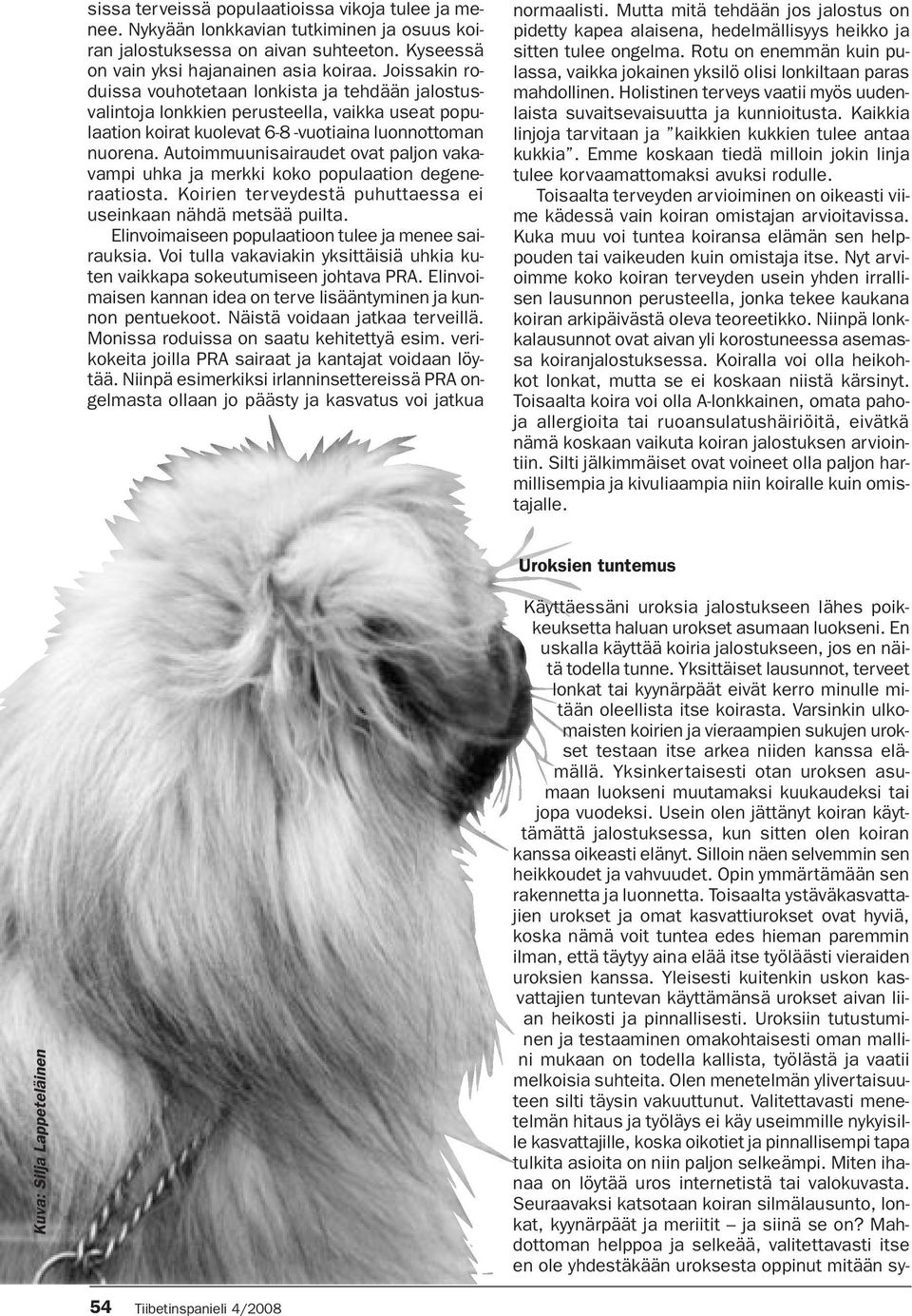 Autoimmuunisairaudet ovat paljon vakavampi uhka ja merkki koko populaation degeneraatiosta. Koirien terveydestä puhuttaessa ei useinkaan nähdä metsää puilta.