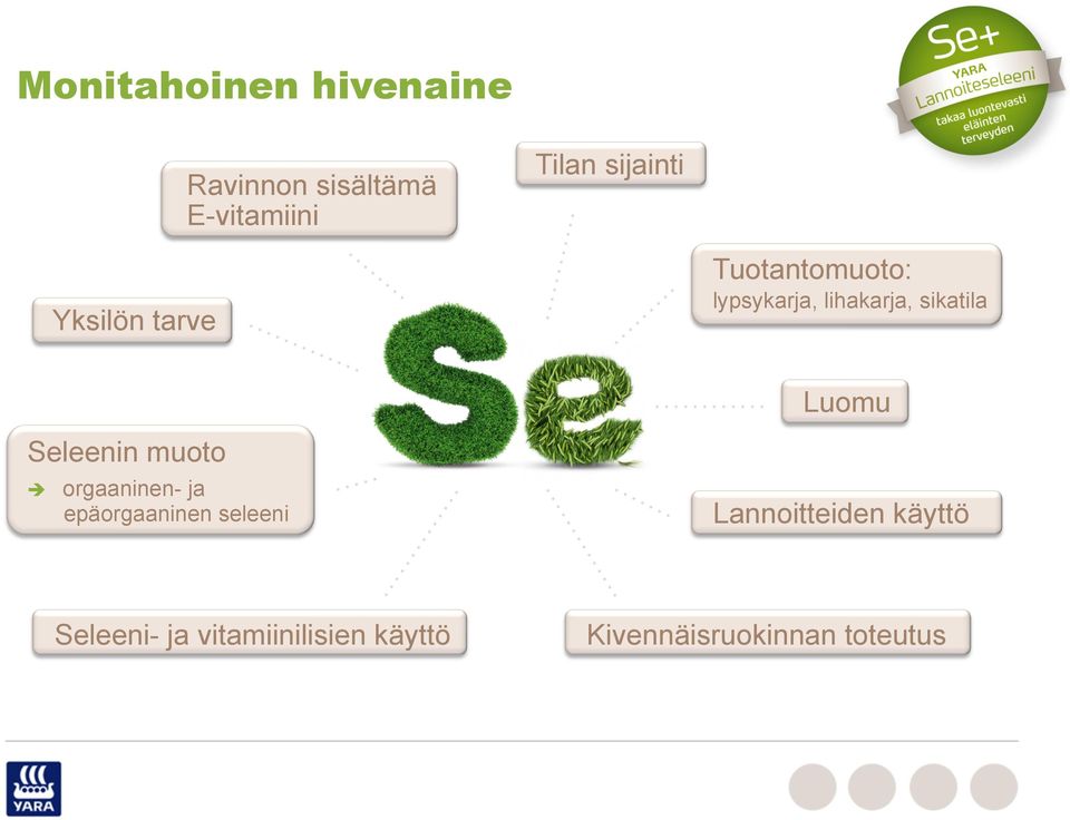 sikatila Luomu Seleenin muoto orgaaninen- ja epäorgaaninen seleeni