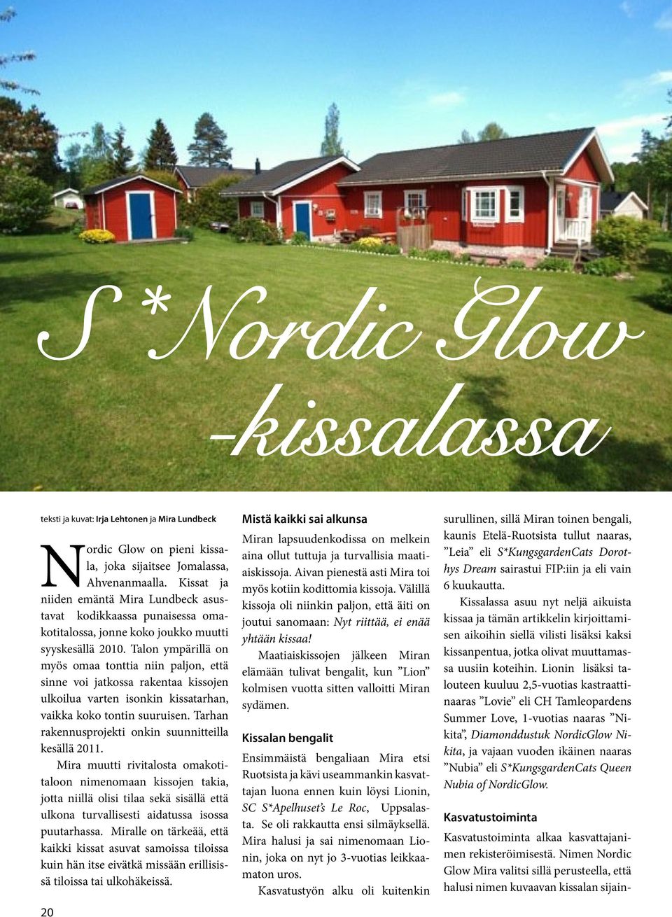 Ahvenanmaalla. Kissat ja niiden emäntä Mira Lundbeck asustavat kodikkaassa punaisessa omakotitalossa, jonne koko joukko muutti syyskesällä 2010.