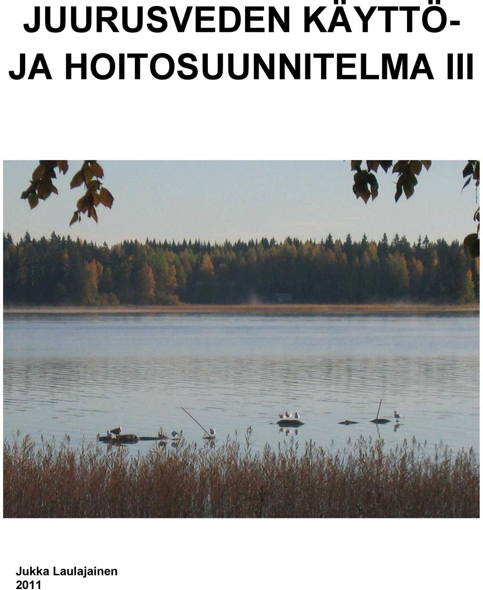 HOITOSUUNNITELMA