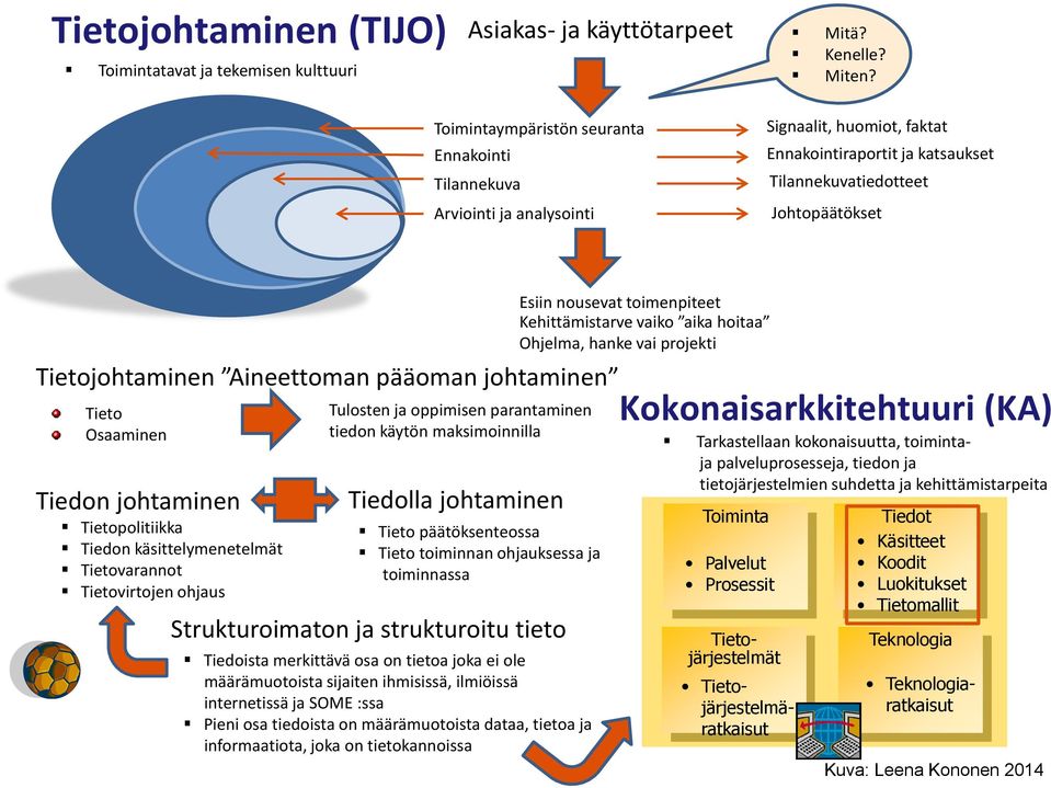 Aineettoman pääoman johtaminen Tieto Osaaminen Tiedon johtaminen Tietopolitiikka Tiedon käsittelymenetelmät Tietovarannot Tietovirtojen ohjaus Tulosten ja oppimisen parantaminen tiedon käytön