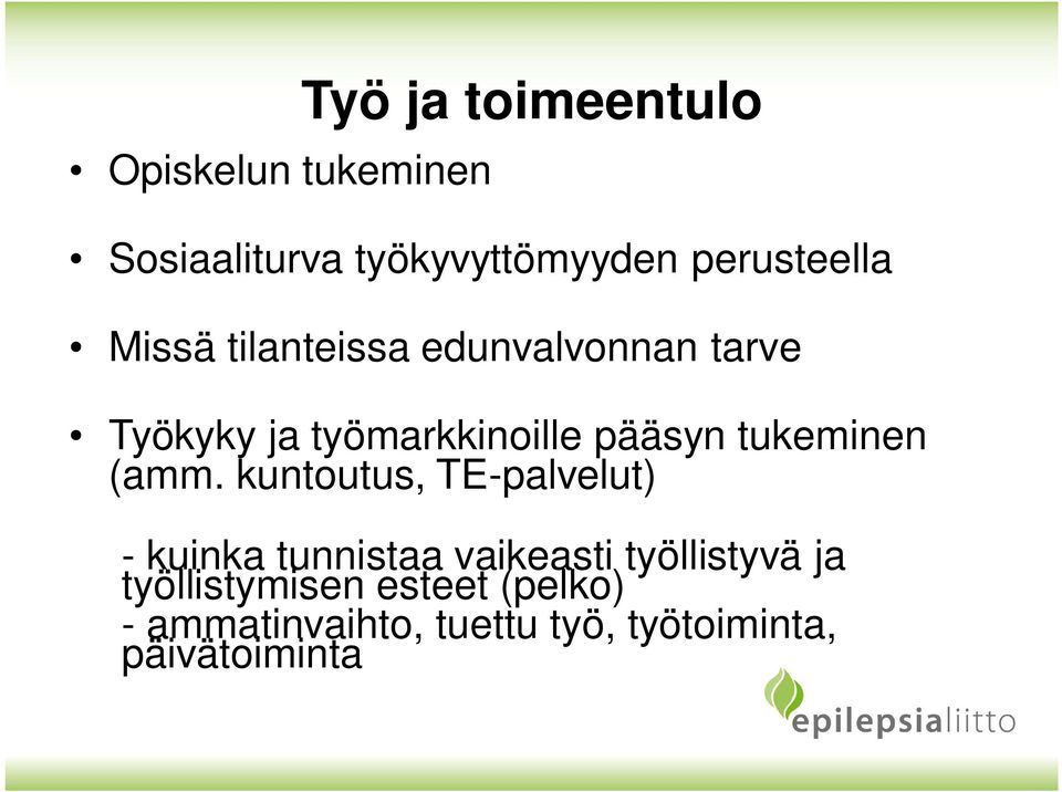 pääsyn tukeminen (amm.