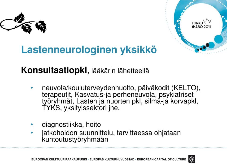 työryhmät, Lasten ja nuorten pkl, silmä-ja korvapkl, TYKS, yksityissektori