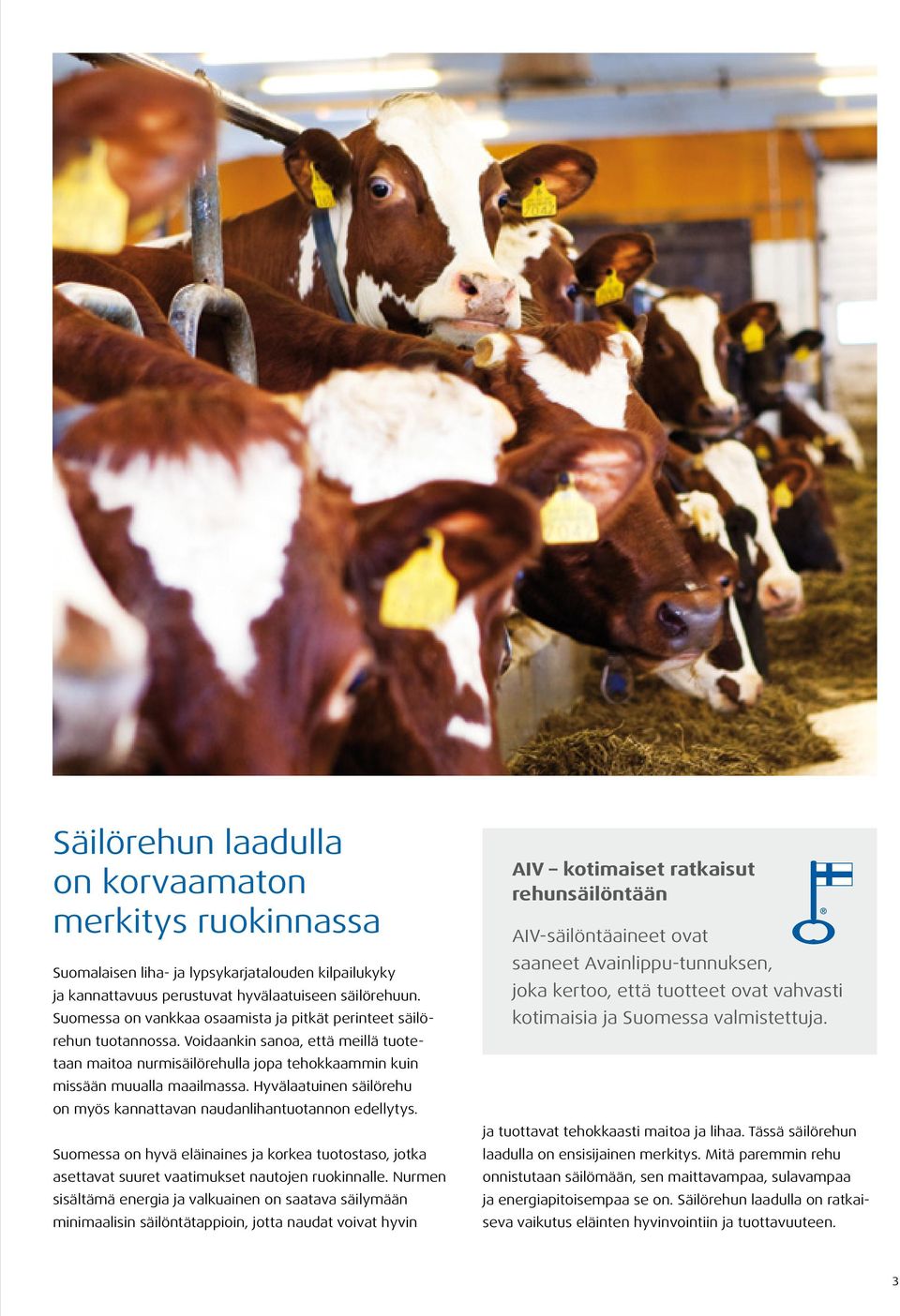 Hyvälaatuinen säilörehu on myös kannattavan naudanlihantuotannon edellytys. Suomessa on hyvä eläinaines ja korkea tuotostaso, jotka asettavat suuret vaatimukset nautojen ruokinnalle.