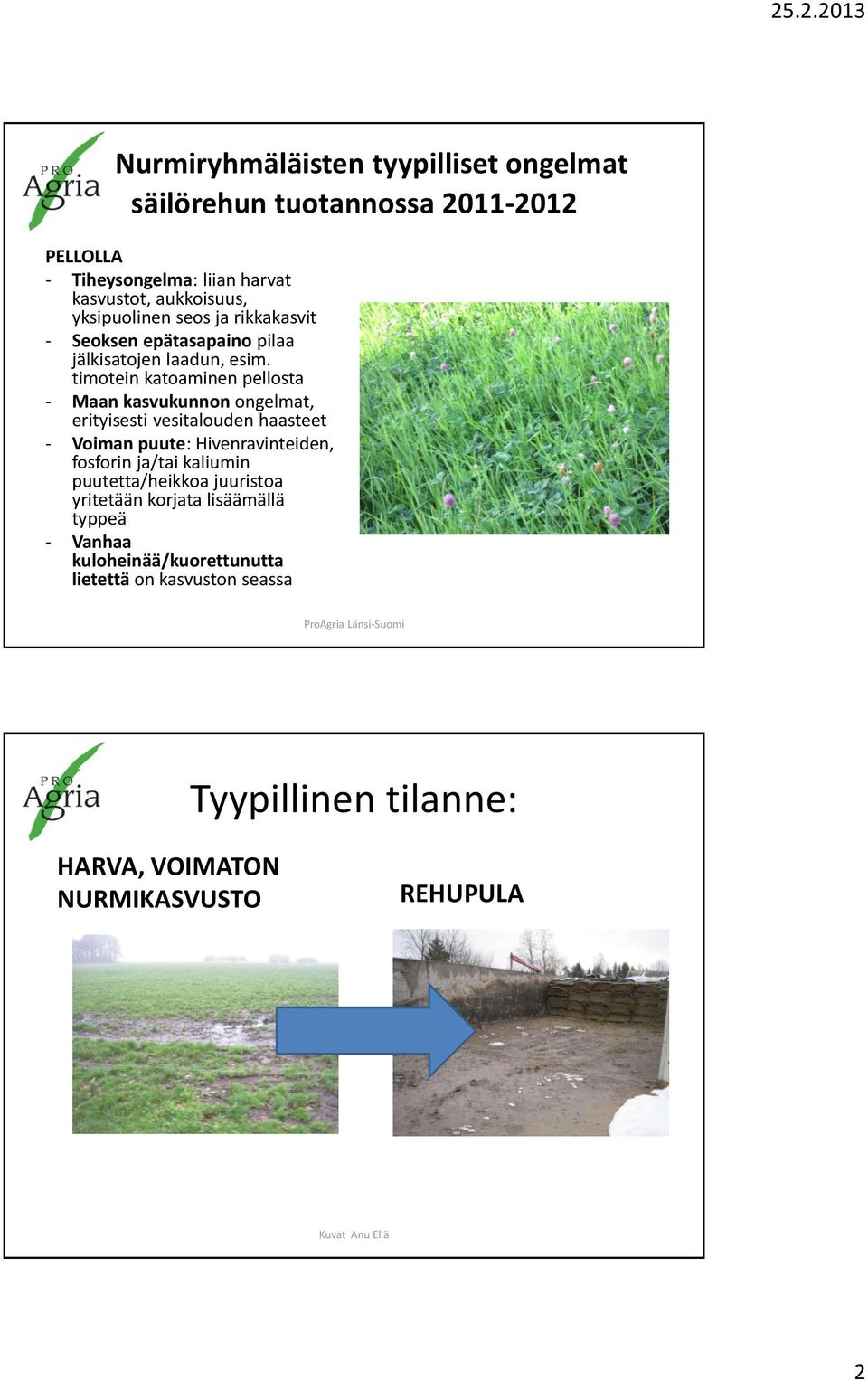 timotein katoaminen pellosta - Maan kasvukunnon ongelmat, erityisesti vesitalouden haasteet - Voiman puute: Hivenravinteiden, fosforin ja/tai