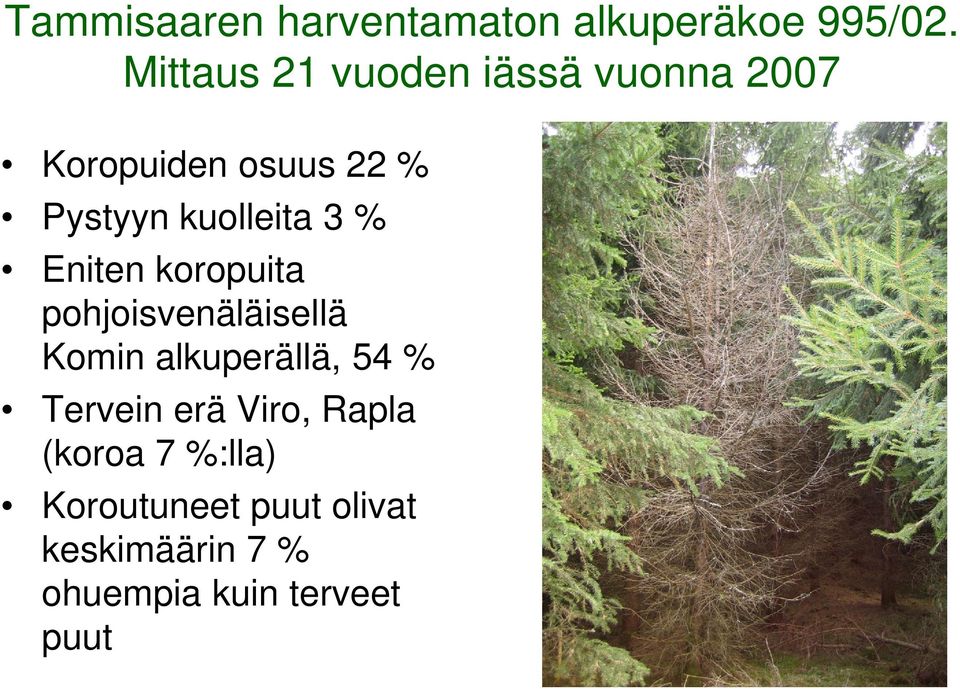 kuolleita 3 % Eniten koropuita pohjoisvenäläisellä Komin alkuperällä, 54