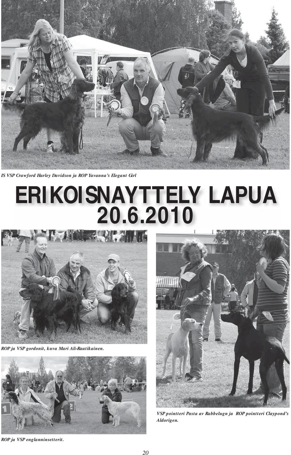 2010 ROP ja VSP gordonit, kuva Mari Ali-Raatikainen.