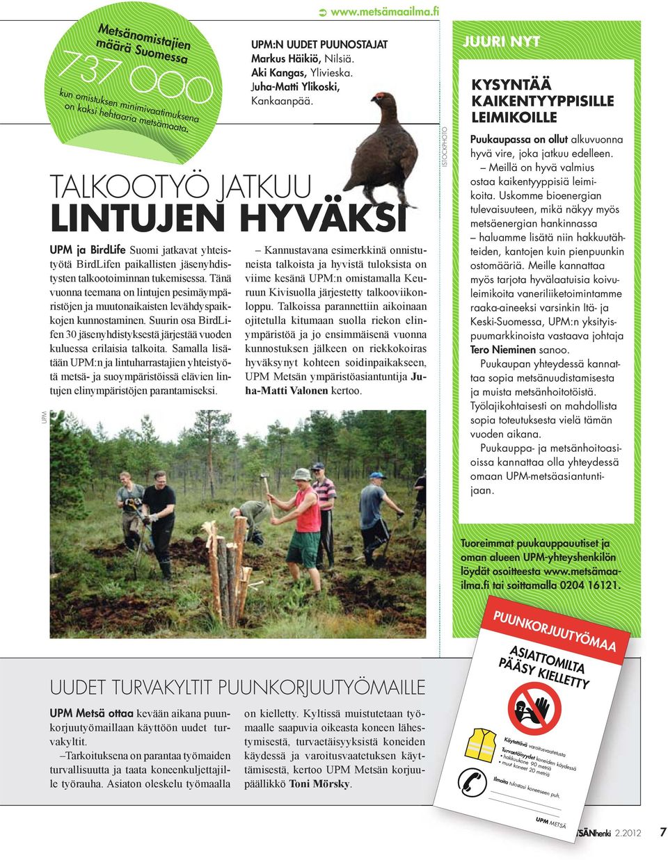 TALKOOTYÖ JATKUU LINTUJEN HYVÄKSI ISTOCKPHOTO JUURI NYT KYSYNTÄÄ KAIKEN TYYPPISILLE LEIMIKOILLE Puukaupassa on ollut alkuvuonna hyvä vire, joka jatkuu edelleen.