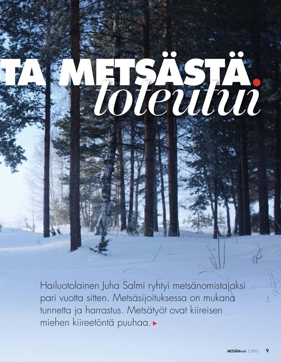 Metsäsijoituksessa on mukana tunnetta ja