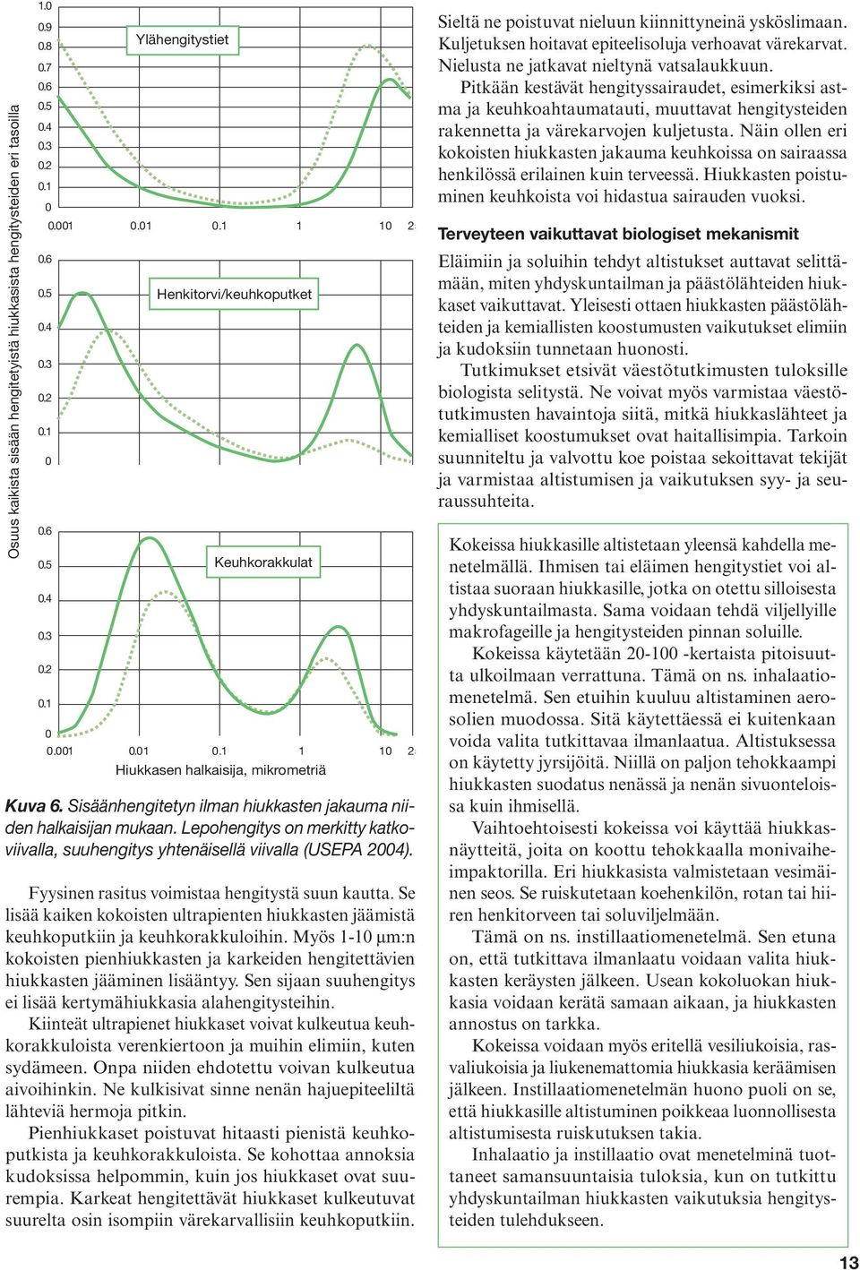 Lepohengitys on merkitty katkoviivalla, suuhengitys yhtenäisellä viivalla (USEPA 2004). Fyysinen rasitus voimistaa hengitystä suun kautta.