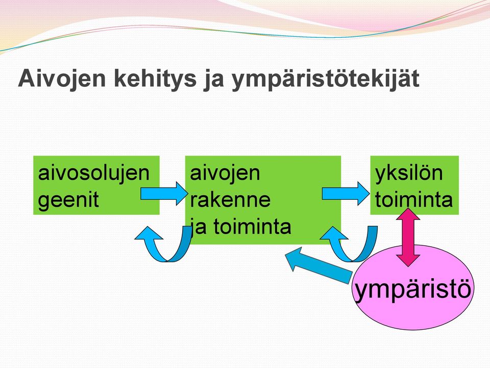 aivosolujen geenit aivojen