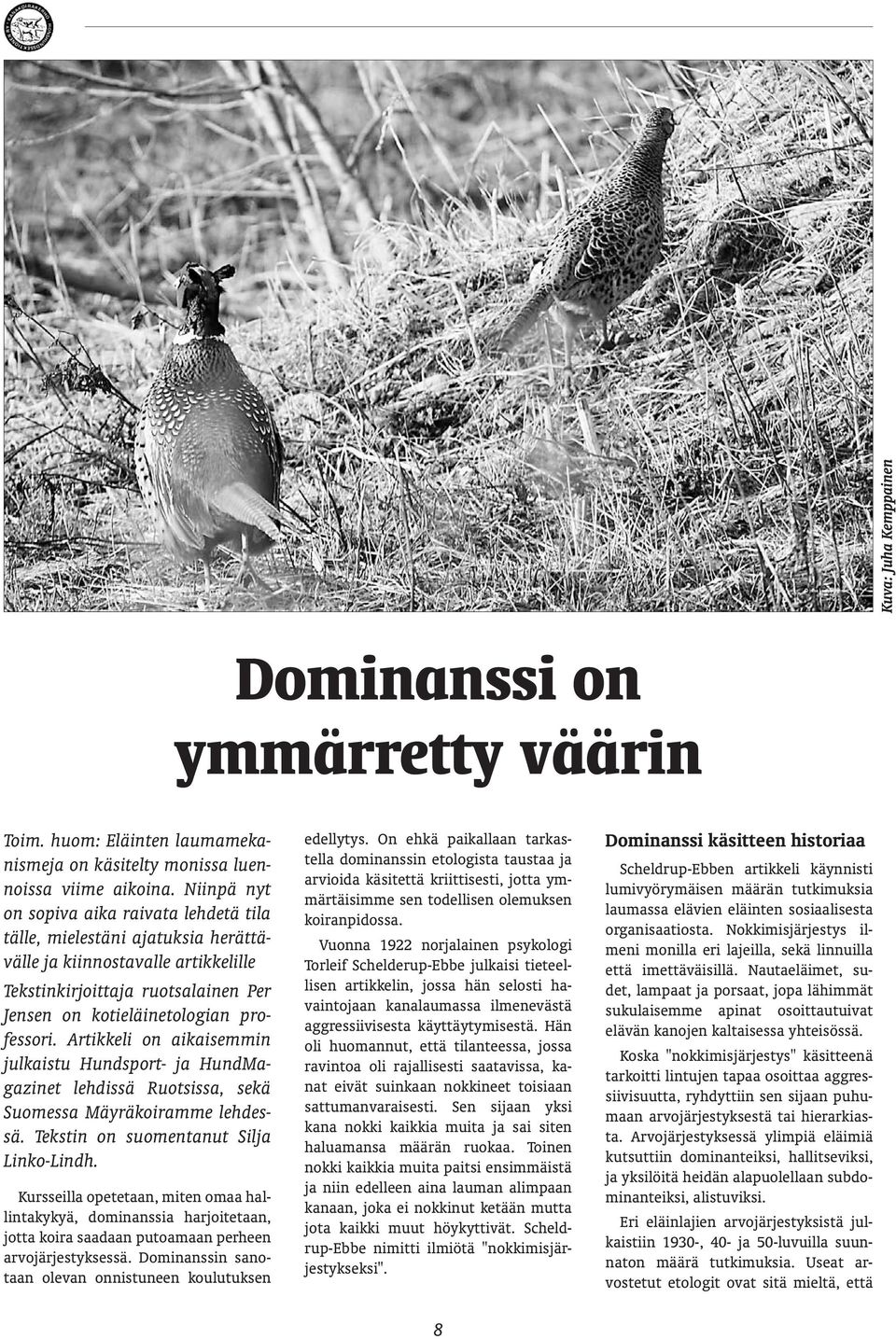 Artikkeli on aikaisemmin julkaistu Hundsport- ja HundMagazinet lehdissä Ruotsissa, sekä Suomessa Mäyräkoiramme lehdessä. Tekstin on suomentanut Silja Linko-Lindh.