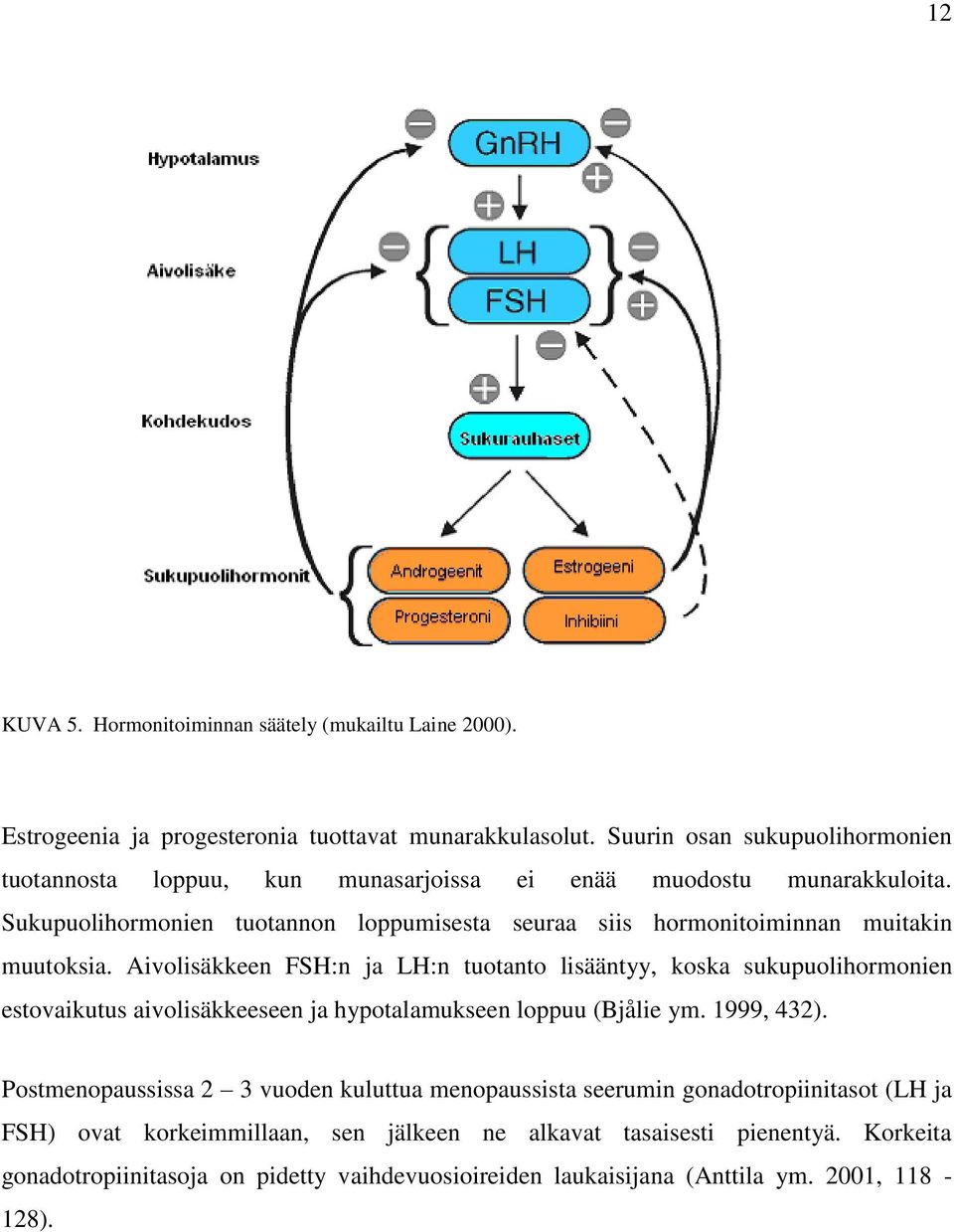 Sukupuolihormonien tuotannon loppumisesta seuraa siis hormonitoiminnan muitakin muutoksia.