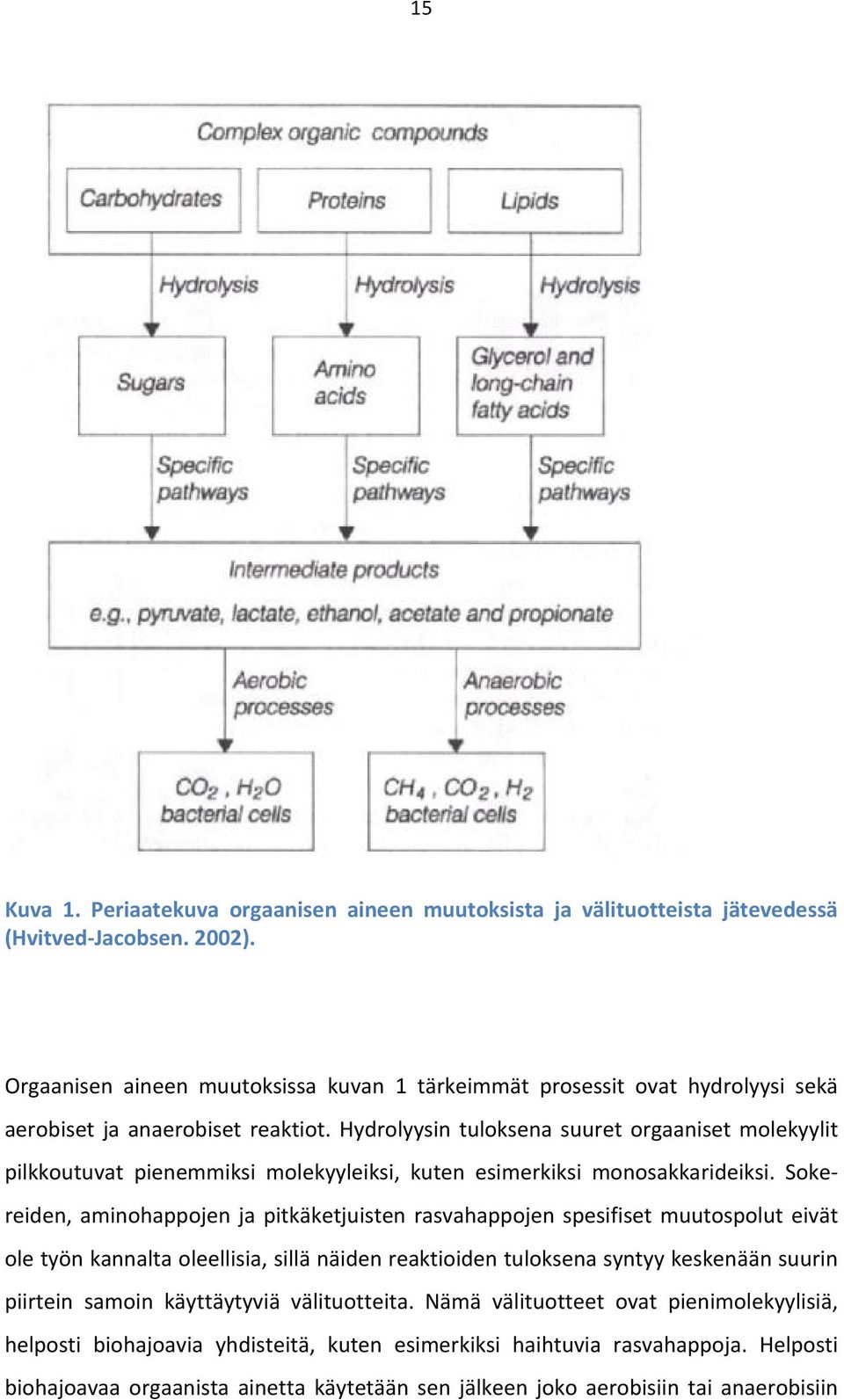 Hydrolyysin tuloksena suuret orgaaniset molekyylit pilkkoutuvat pienemmiksi molekyyleiksi, kuten esimerkiksi monosakkarideiksi.