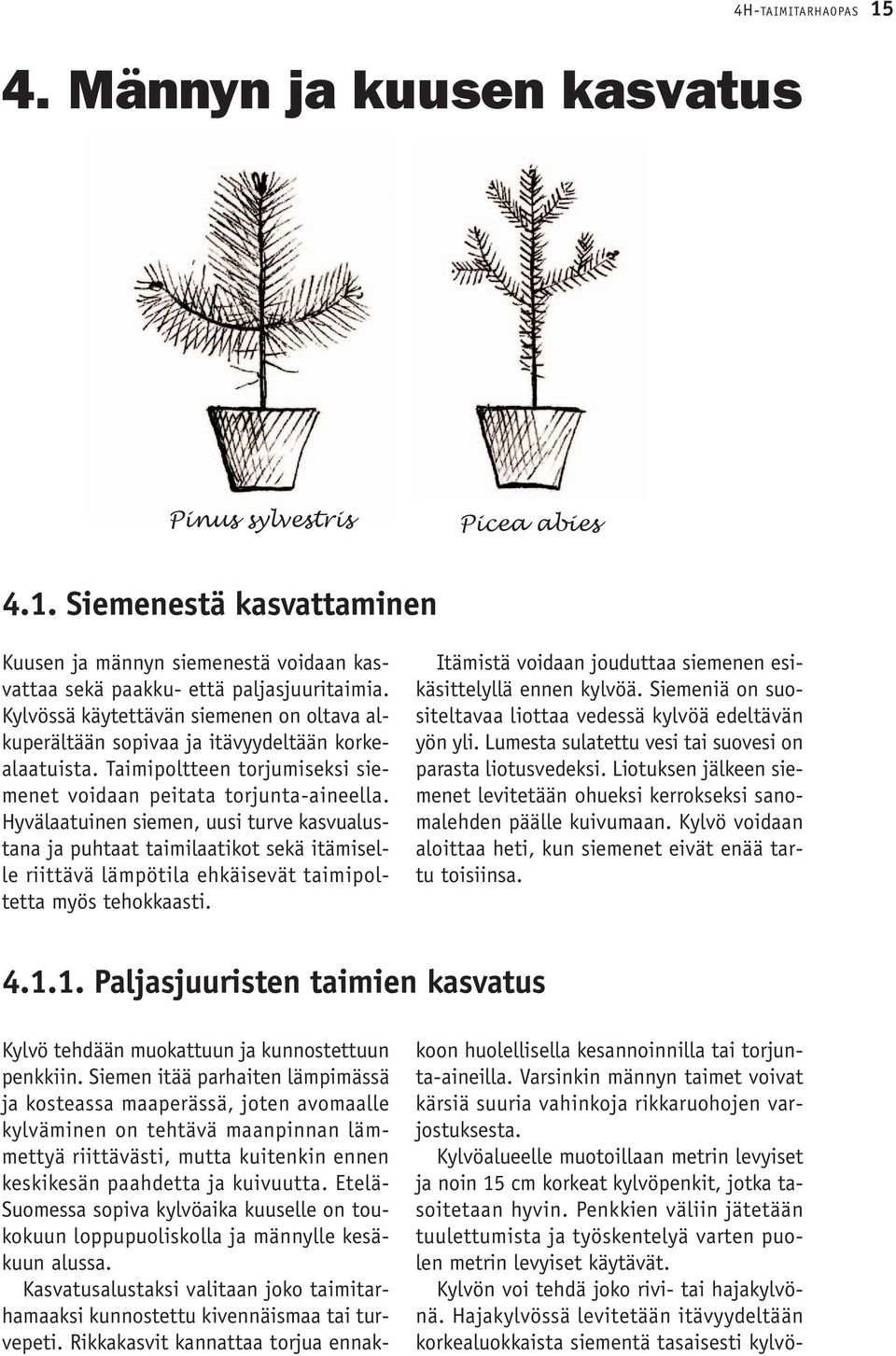 Hyvälaatuinen siemen, uusi turve kasvualustana ja puhtaat taimilaatikot sekä itämiselle riittävä lämpötila ehkäisevät taimipoltetta myös tehokkaasti.