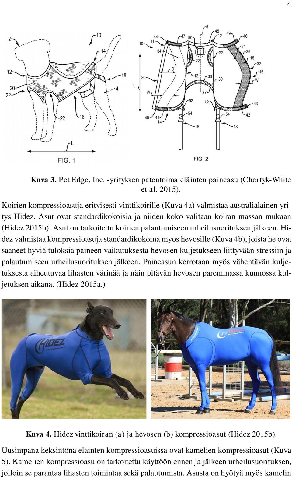 Hidez valmistaa kompressioasuja standardikokoina myös hevosille (Kuva 4b), joista he ovat saaneet hyviä tuloksia paineen vaikutuksesta hevosen kuljetukseen liittyvään stressiin ja palautumiseen