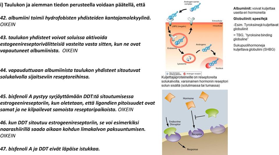 vapauduttuaan albumiinista taulukon yhdisteet sitoutuvat solukalvolla sijaitseviin reseptoreihinsa. 45.